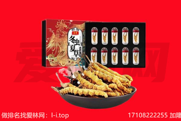 河源紫金县回收虫草.jpg